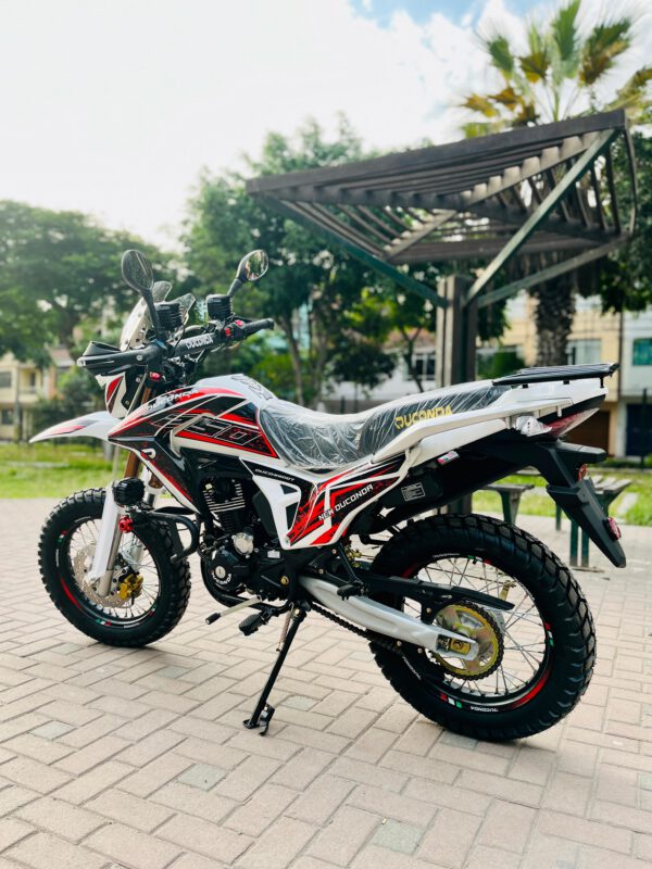 DUCONDA DUCO250 - Imagen 2